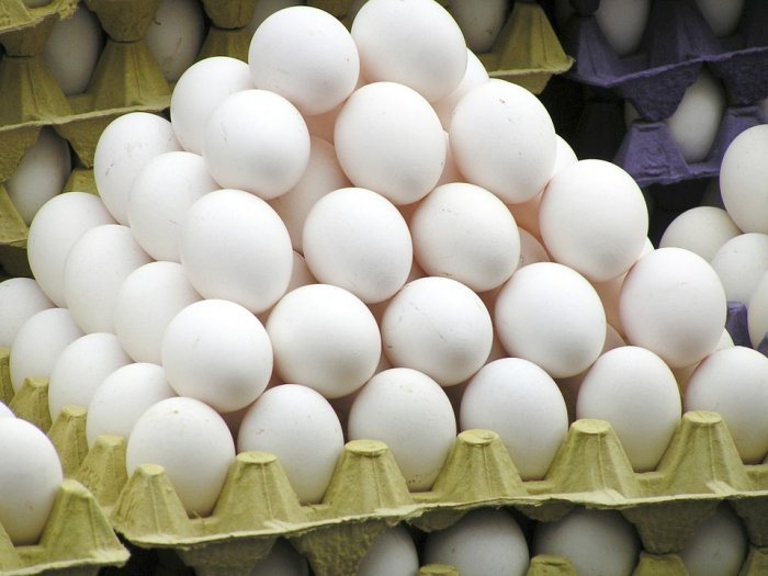 Egg production in the Astrakhan Region increased 1.6-fold in 2025