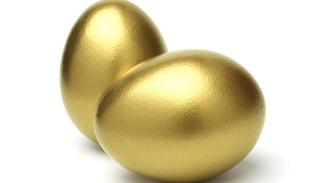 Investment efficiency in hatching-egg production