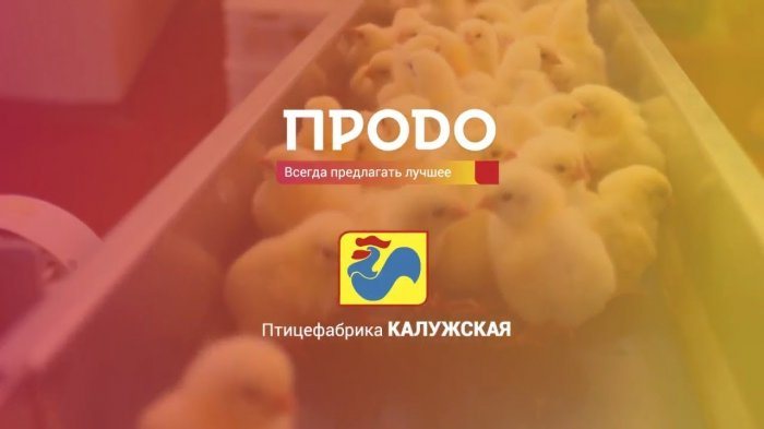 JSC "Kaluzhskaya Poultry Farm"