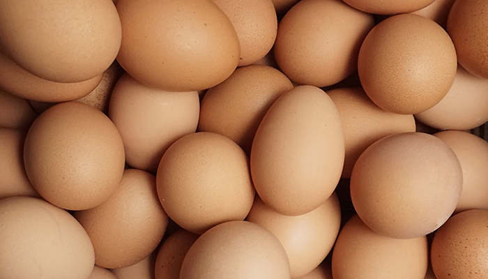 В Томскую область в июле ввезено более 1,5 млн штук инкубационного яйца из Португалии и Турции